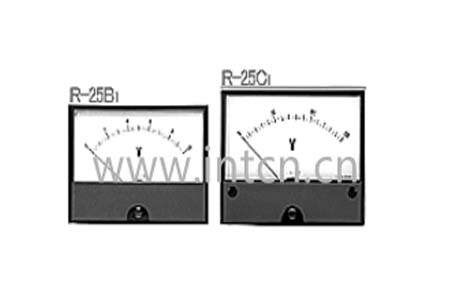 TSURUGA ELECTRIC 鹤贺电机R系列矩形显示器